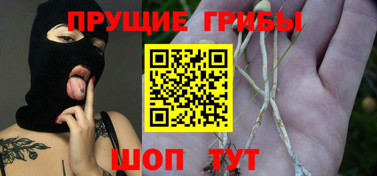 Галлюциногенные грибы мицелий  Вход с VPN  Уссурийск 